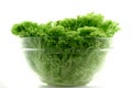 Fresh iceberg lettuce