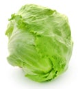 Fresh Iceberg Lettuce Royalty Free Stock Photo