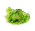 Fresh iceberg lettuce salad