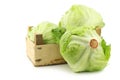 Fresh iceberg lettuce in a wooden crate