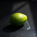Single Green Avocado Seed on Slate Royalty Free Stock Photo
