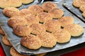 Fresh Indian biscuits Royalty Free Stock Photo