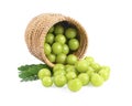 Fresh indian gooseberry on white background