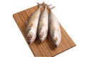 Fresh indian mackerel fish on wooden panel. Royalty Free Stock Photo