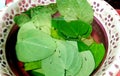 Fresh Indian paan/betel leave in basket Royalty Free Stock Photo