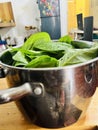 Fresh indian Spinach pasali
