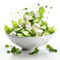 Fresh ingredients for Greek salad falling into bowl on white background Royalty Free Stock Photo