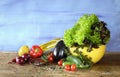 Fresh ingredients for salad,various vegetables,organic food, healthy eating concept, good copy space Royalty Free Stock Photo