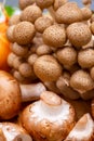 Fresh ingredients for tasty vegetarian mushrooms soup, brown champignons, buna shimeji, carrots
