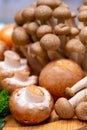 Fresh ingredients for tasty vegetarian mushrooms soup, brown champignons, buna shimeji, carrots