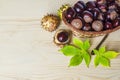 Fresh inshell chestnuts in basket.  traditional dishes in France for christmas Royalty Free Stock Photo