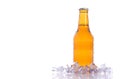 Fresh isolated beer Royalty Free Stock Photo