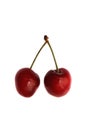 Fresh isolated double cherries.