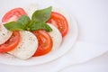 Fresh Italian Caprese Salad with Mozzarella Cheese, Tomatoes and Basil on white plate. Healthy food concept Royalty Free Stock Photo