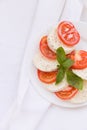 Fresh Italian Caprese Salad with Mozzarella Cheese, Tomatoes and Basil on white plate. Healthy food concept Royalty Free Stock Photo