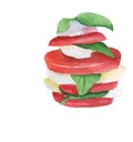 Fresh italian caprese salad with mozzarella and tomatoes. Simple and tasty starter of fresh tomatoes, mozzarella cheese and basil Royalty Free Stock Photo