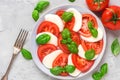 Fresh italian caprese salad with sliced tomatoes, mozzarella cheese, basil, olive oil and fork in a plate Royalty Free Stock Photo