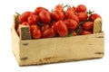 Fresh italian cherry tomatoes on the vine Royalty Free Stock Photo