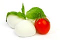 Fresh italian mozzarella