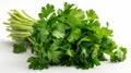 Fresh italian parsley on white background. Generative AI