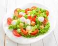 Fresh Italian salad with mozzarella cheese Royalty Free Stock Photo