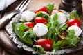 Fresh italian salad with mozzarella cheese Royalty Free Stock Photo