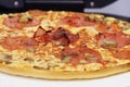 Fresh Italian salami cheese pizza Royalty Free Stock Photo