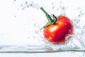 Fresh Italian tomato is falling and splashing into the fresh water Royalty Free Stock Photo