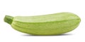 Fresh Italian zucchini Royalty Free Stock Photo