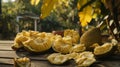 Fresh Jack fruit in a white dish Royalty Free Stock Photo