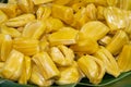 Fresh jackfruit available for sale . Royalty Free Stock Photo