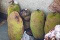 Fresh Jackfruit at fruit market in Borneo