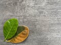 Fresh jackfruit leaves Placed at the corner of the image On the old brown wooden table, conceptual, nature, environment.