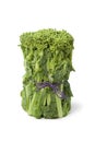 Fresh Japanese baby broccolini Royalty Free Stock Photo