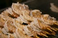 Fresh japanese schrimp in a market stall in Nishiki fish market in Kyoto, Japan. Royalty Free Stock Photo