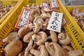 Fresh Japanese shitake brown mushrooms sold in local market