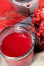 Fresh juice of viburnum Royalty Free Stock Photo
