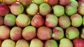 Fresh and juicy apples for sale. Royalty Free Stock Photo