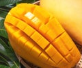 Fresh juicy beautiful diced mango fruit in bamboo basket on green leaves background, top view, close up, macro, copy space. Royalty Free Stock Photo