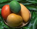 Fresh juicy beautiful mango fruit in bamboo sieve over green leaf background. Tropical summer harvest concept, top view, close up Royalty Free Stock Photo