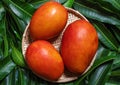 Fresh juicy beautiful mango fruit in bamboo sieve over green leaf background. Tropical summer harvest concept, top view, close up Royalty Free Stock Photo