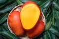 Fresh juicy beautiful mango fruit in bamboo wooden basket on green background by leaves, close up, macro, copy space. Tropical Royalty Free Stock Photo