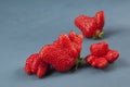 Fresh juicy berries. Organic strawberries of unusual shape, close-up. Trendy ugly fruits. Blue background, copy space