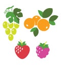 Fresh juicy berries, raspberry, strawberries, grapes, sea buckthorn with leaves, isolated on white, vector illustration