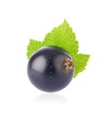 Fresh juicy black currant with green leaf Royalty Free Stock Photo