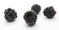 Fresh juicy blackberries on white background