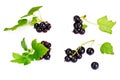 Fresh Juicy Blackcurrant Royalty Free Stock Photo