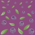 Fresh juicy blueberry and leaflet summer background. Vector illustration for packaging, textiles, tableware, school supplies