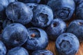 Fresh juicy blueberry vitaminous Royalty Free Stock Photo