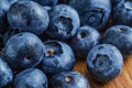 Fresh juicy blueberry vitaminous Royalty Free Stock Photo